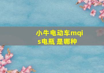 小牛电动车mqi s电瓶 是哪种